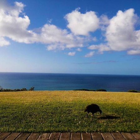 Dana Bay B&B Guest House 莫塞尔湾 外观 照片