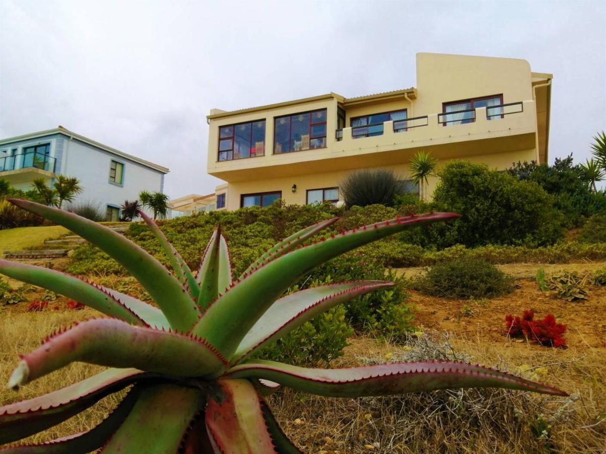 Dana Bay B&B Guest House 莫塞尔湾 外观 照片